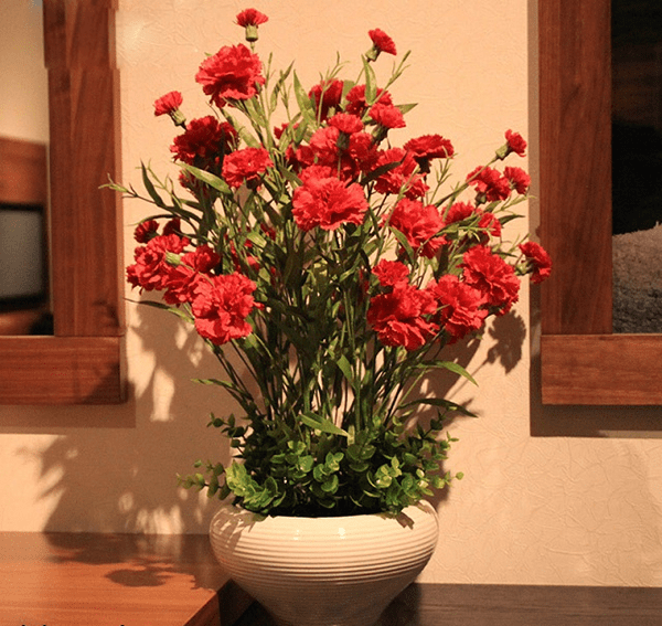 Trang trí phòng khách bằng hoa cẩm chướng